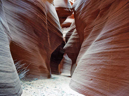 Smooth curves, Horesehoe Bend Canyon