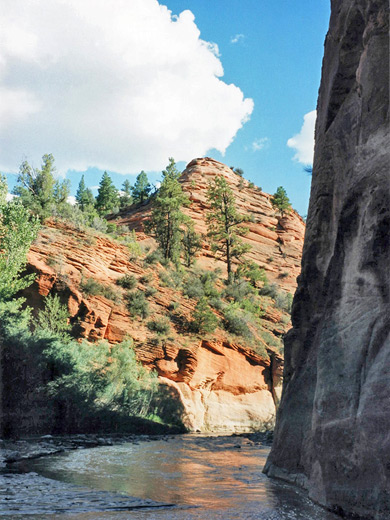 East Fork of the Virgin River