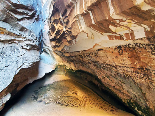 Pool and quicksand in Wahweap Canyon