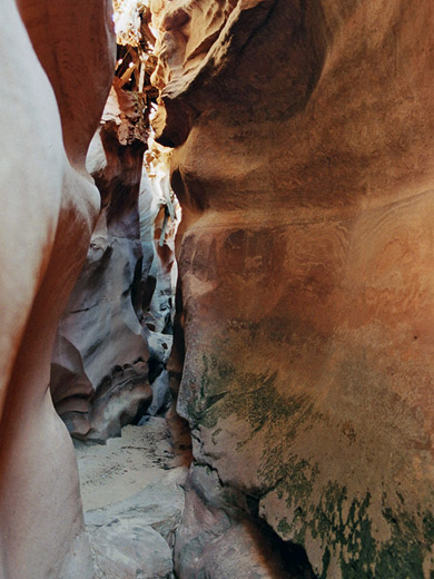 Muddy passageway