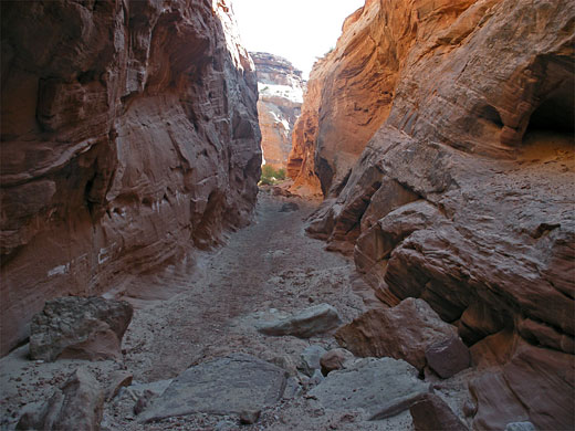 West Fork narrows