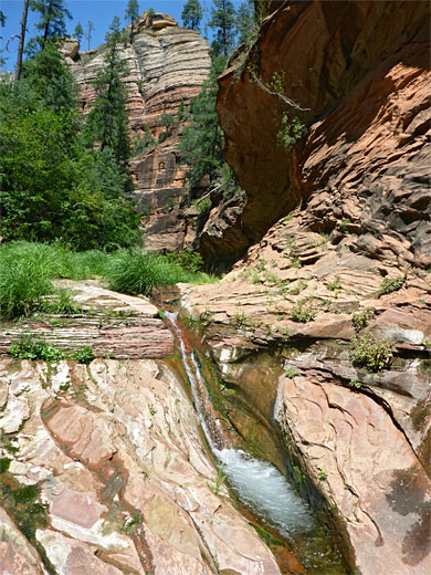 Cascade and pool; typical Oak Creek scene