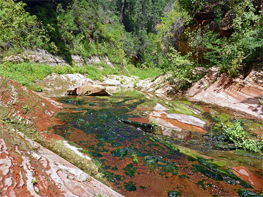 Red slickrock