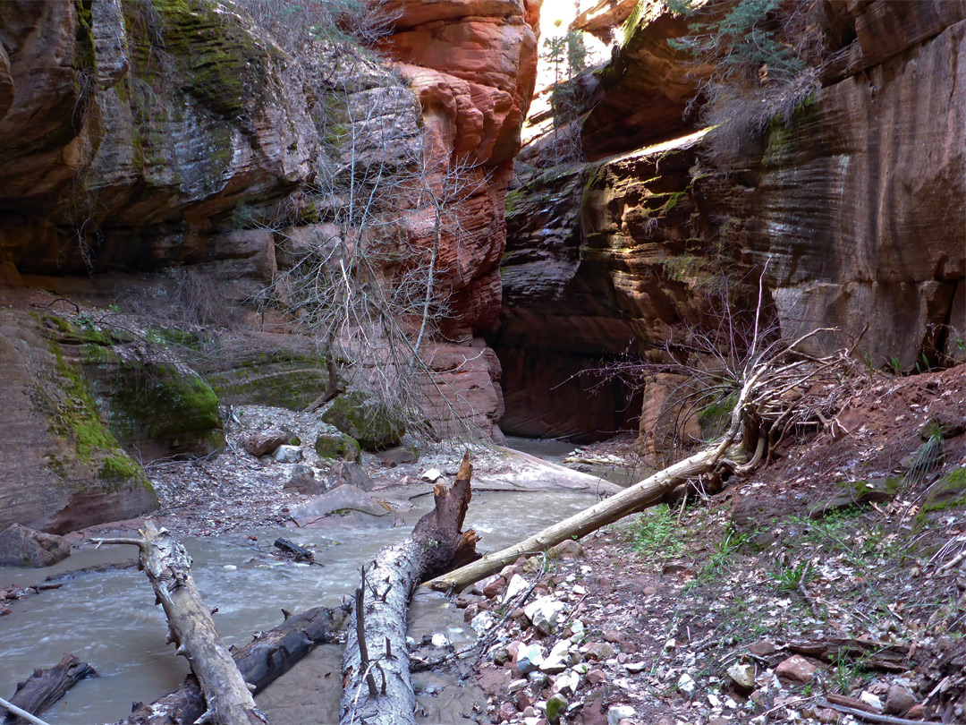 Colorful narrows