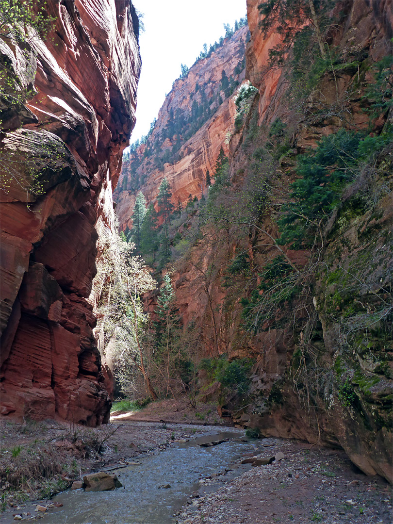 Bend along the canyon