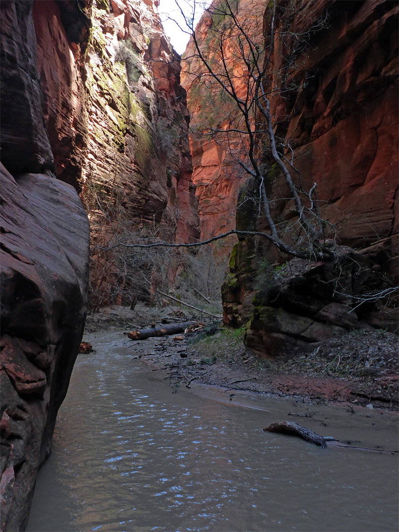 Sheer cliffs