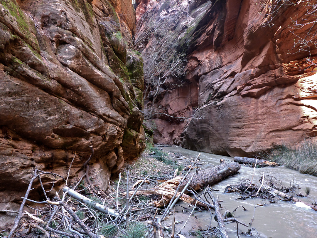 Flood debris