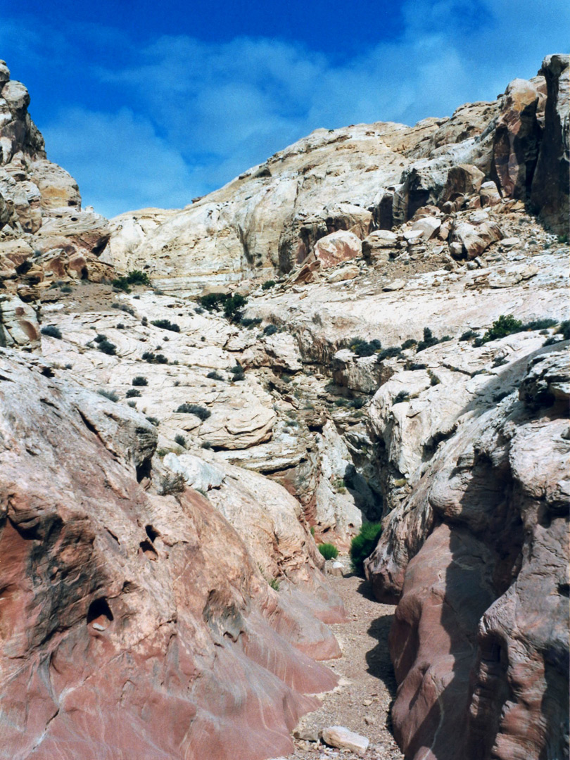 Colorful rocks