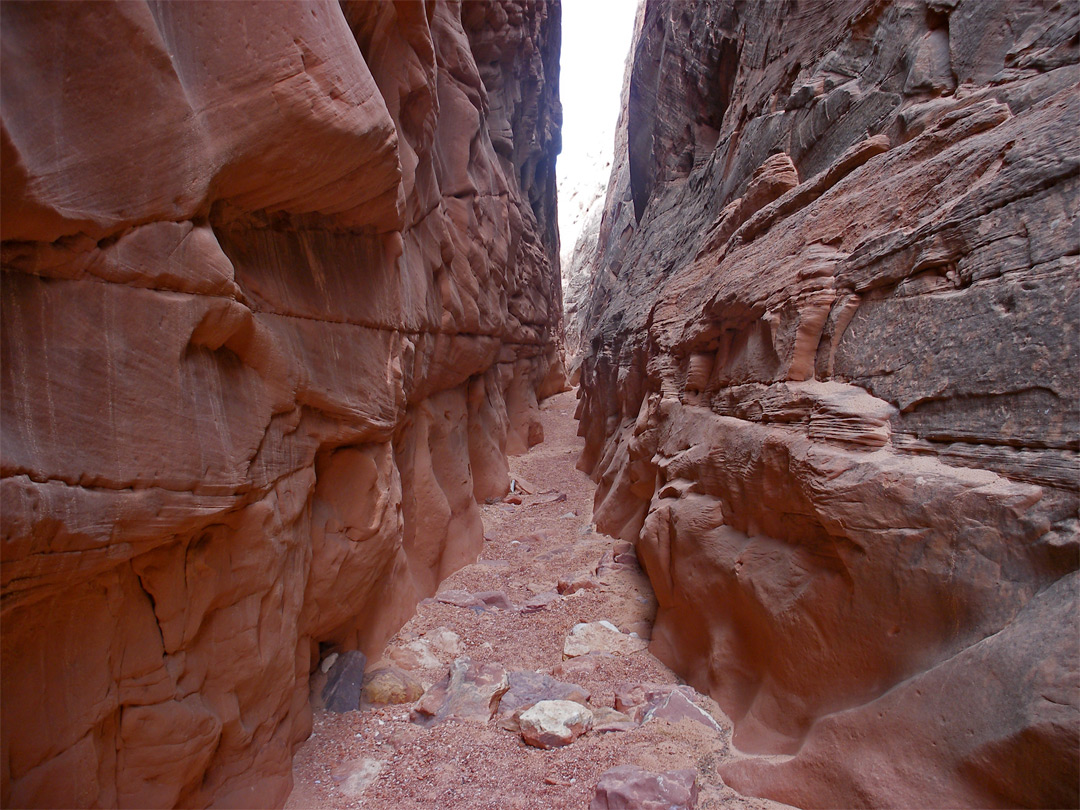 Medium width narrows: Blue John Canyon, Utah