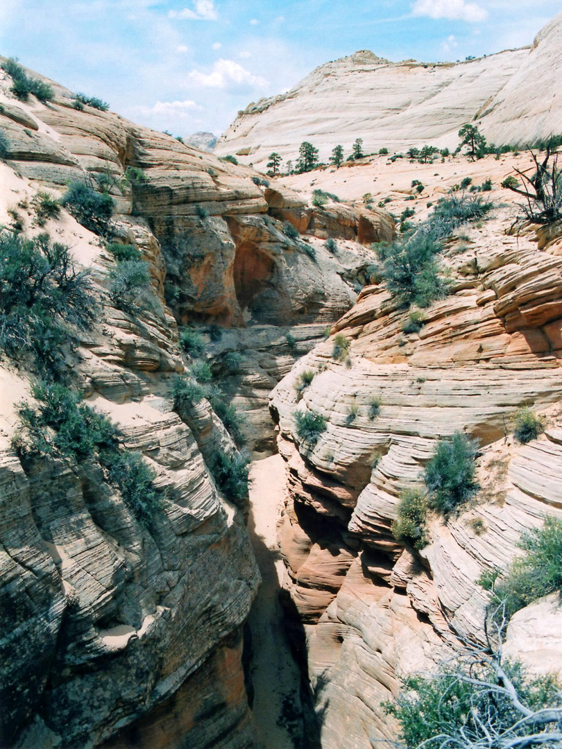 Above the narrows