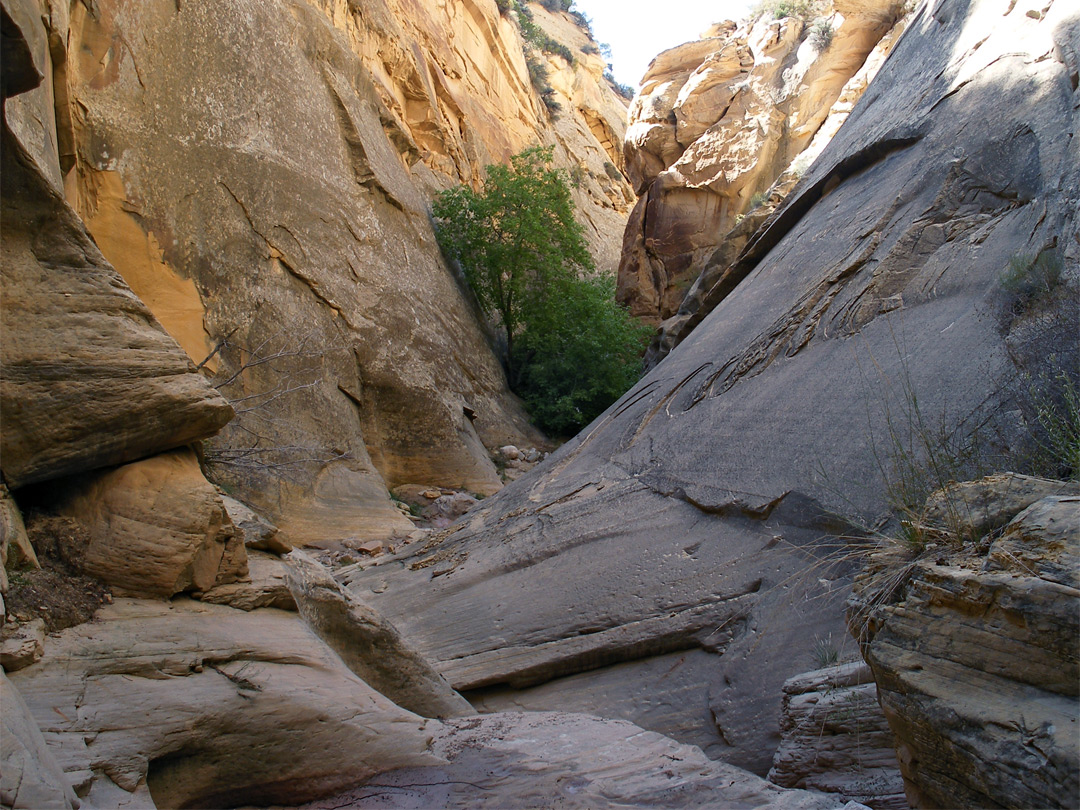 The lower canyon