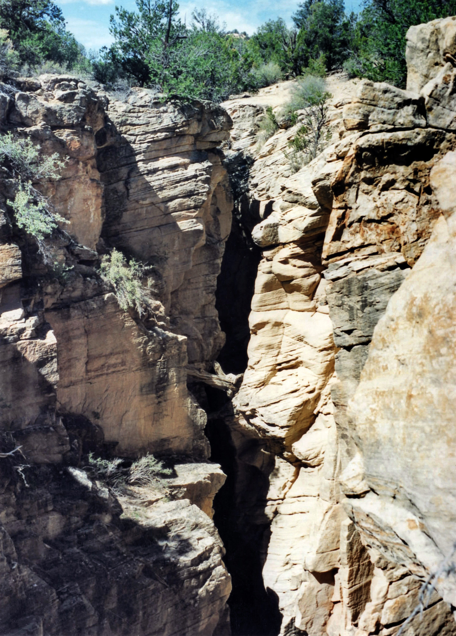 View from the road bridge