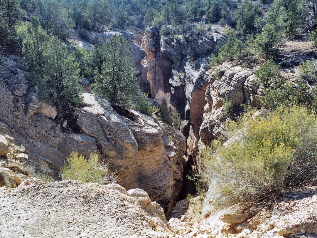 Downstream of the road bridge