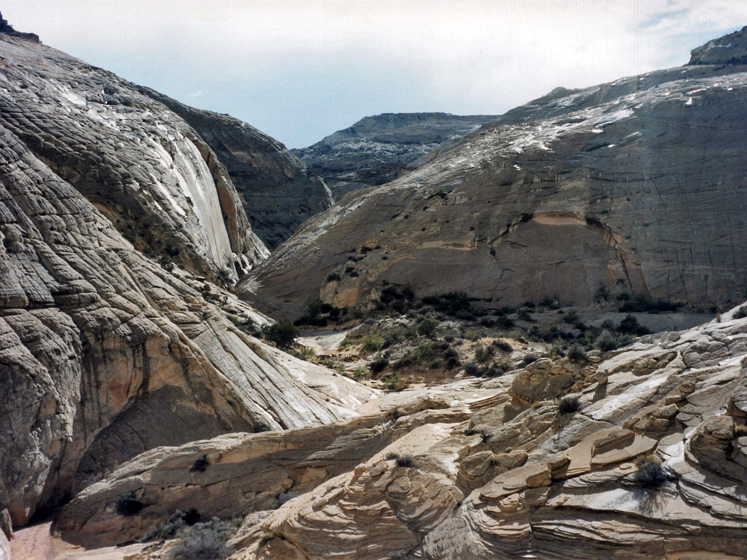 Cliffs of Capitol Reef