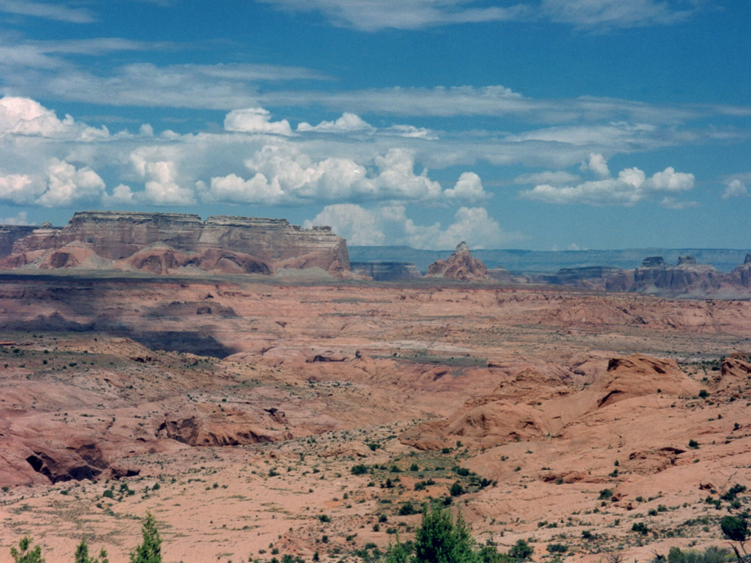 View north towards Lake Powell