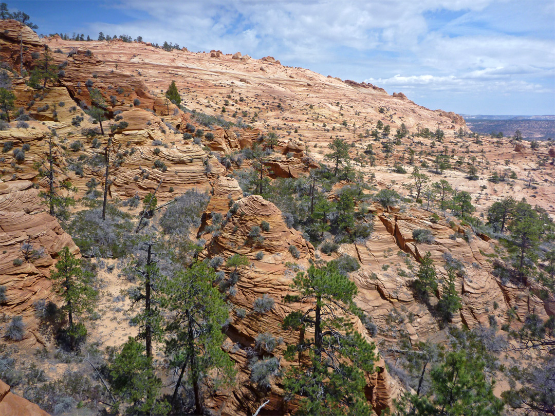 Edge of Canaan Mountain