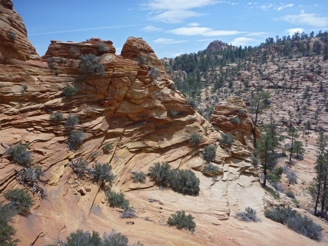 Eroded rocks