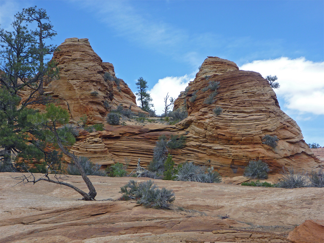 Thin layered sandstone