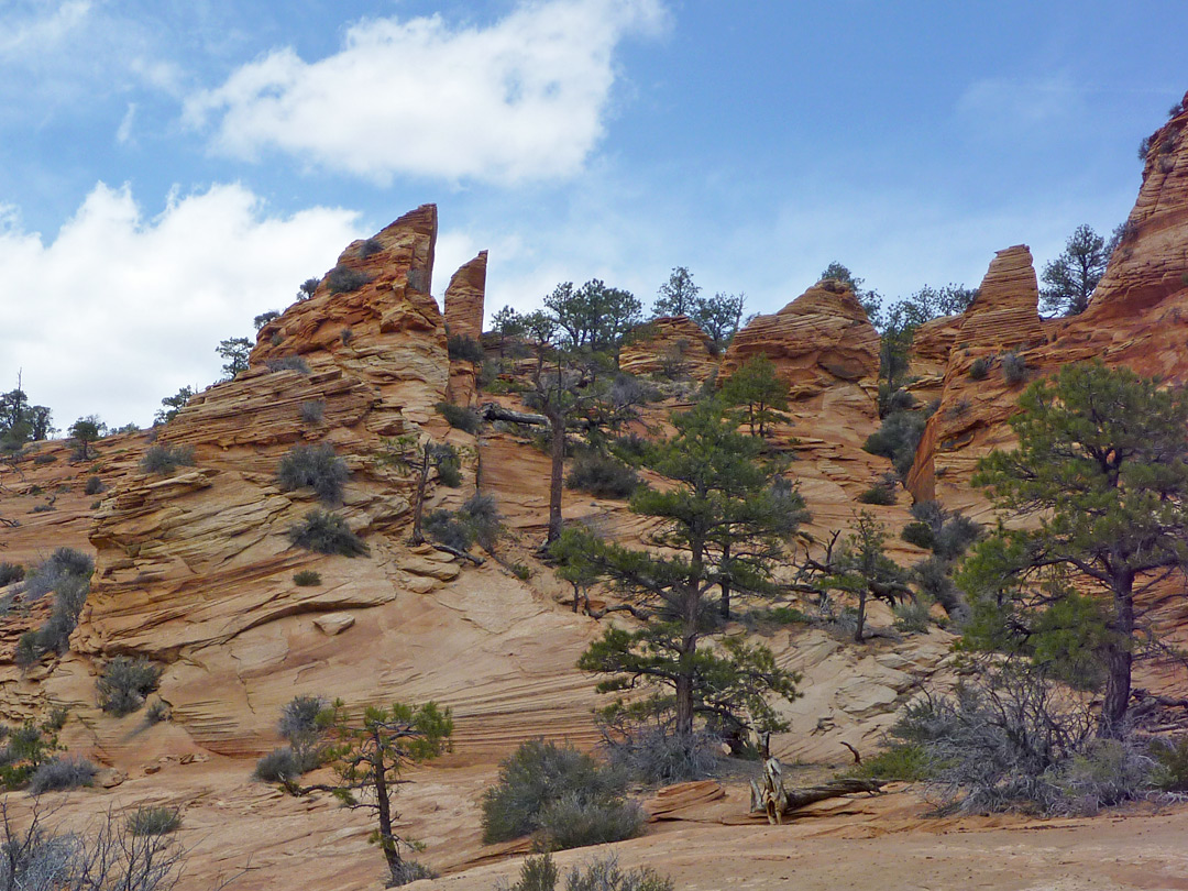 Pinnacles