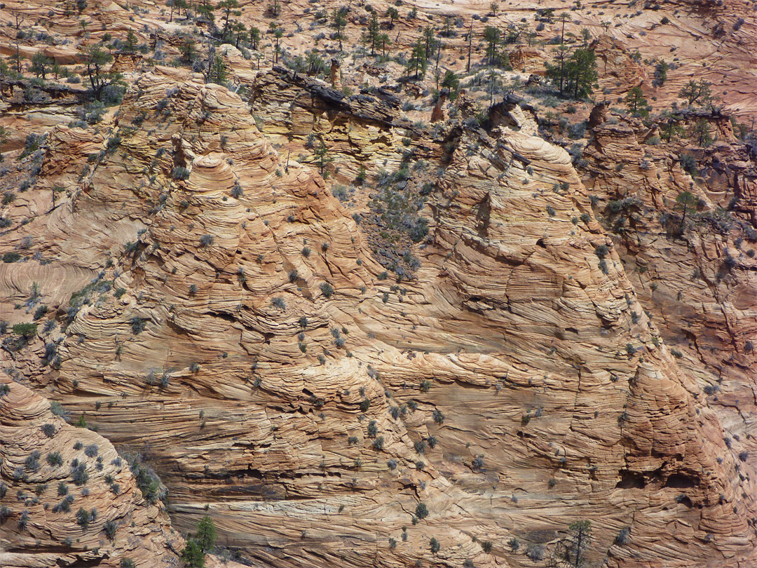 Weathered cliffs