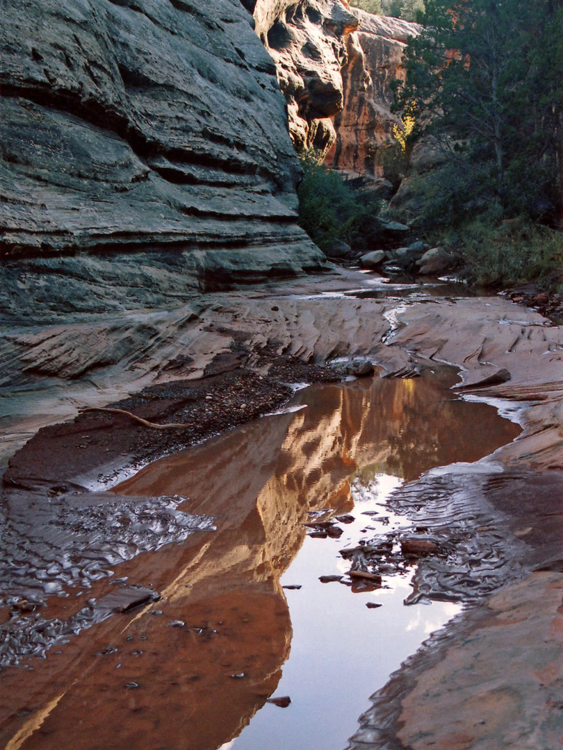 Reflections on a pool