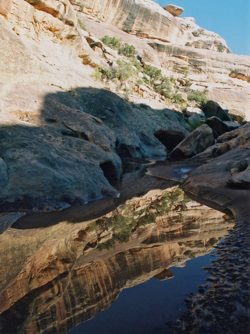 Pool in the lower canyon