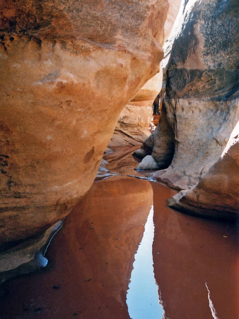 Muddy pool