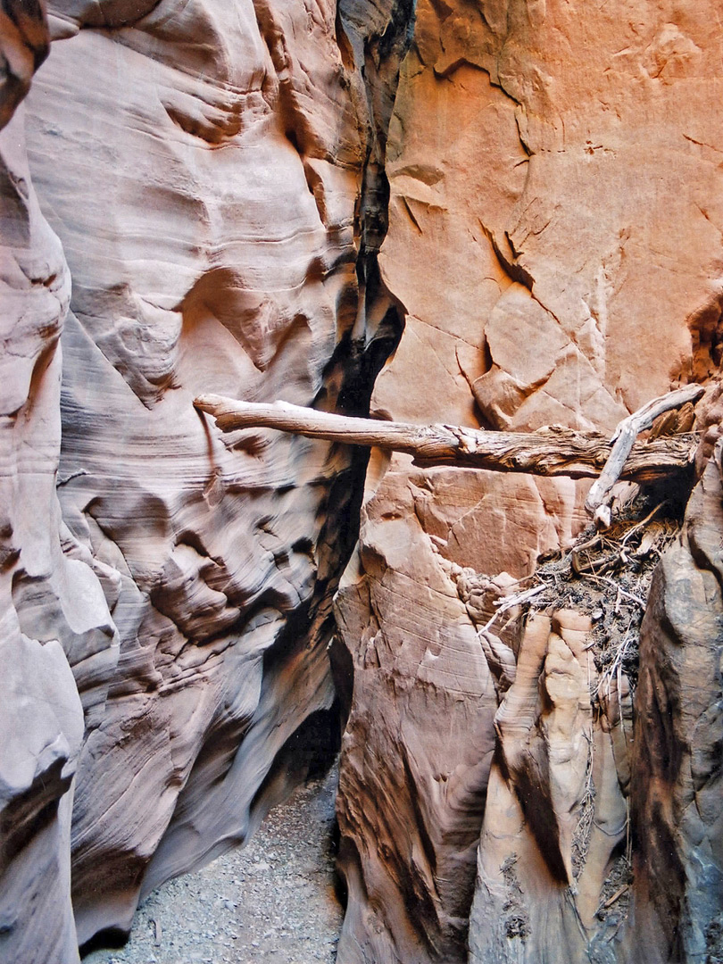 Log in the narrows