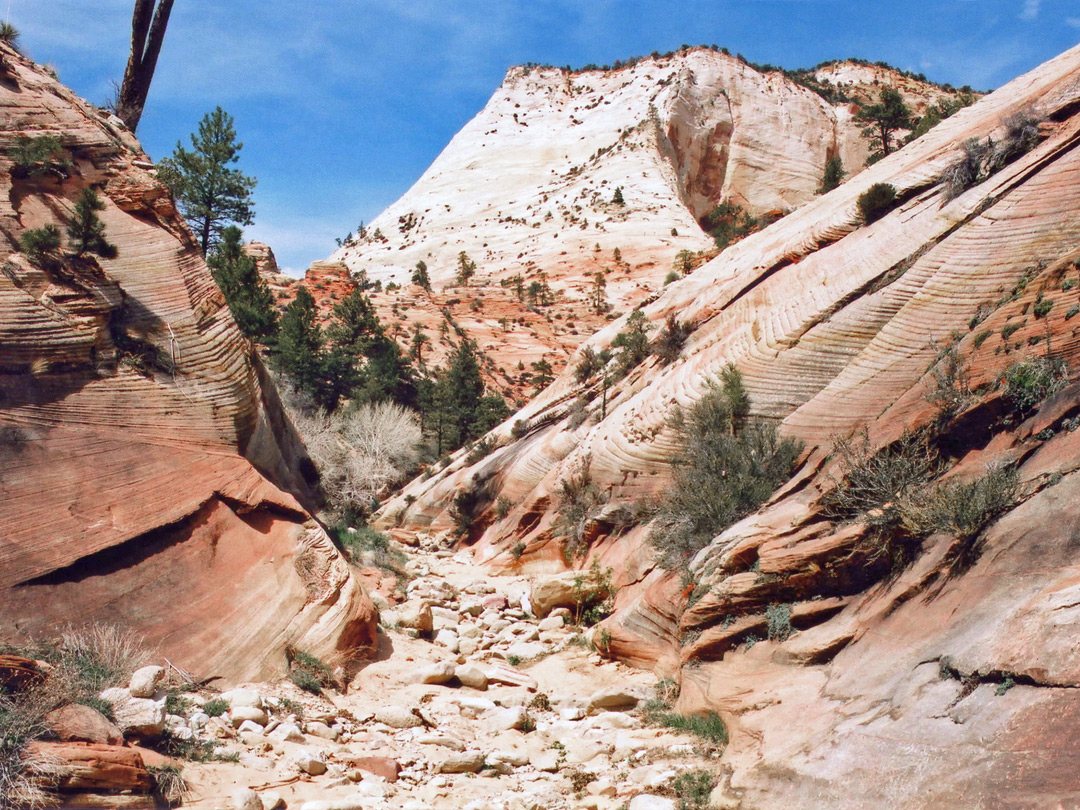 The upper canyon