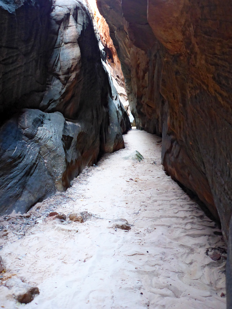 Sandy streambed