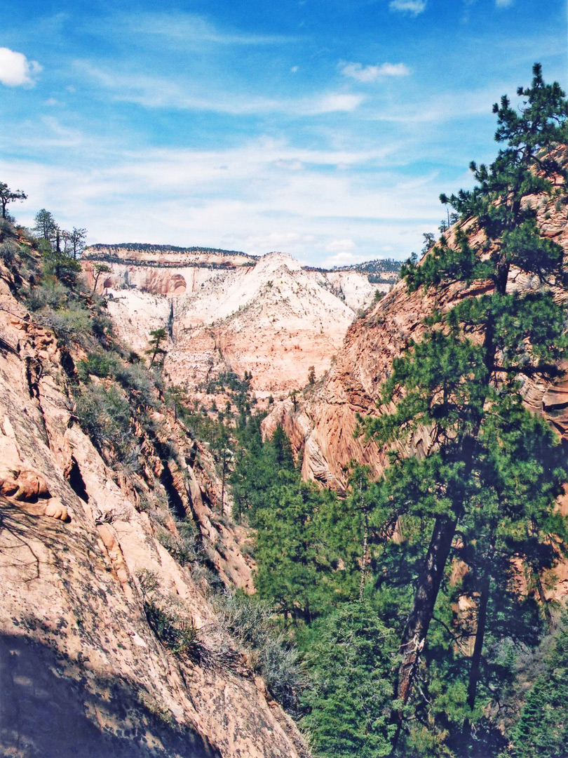 High in a side canyon