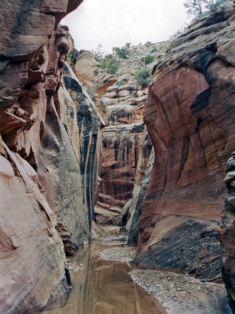 Vertical cliffs