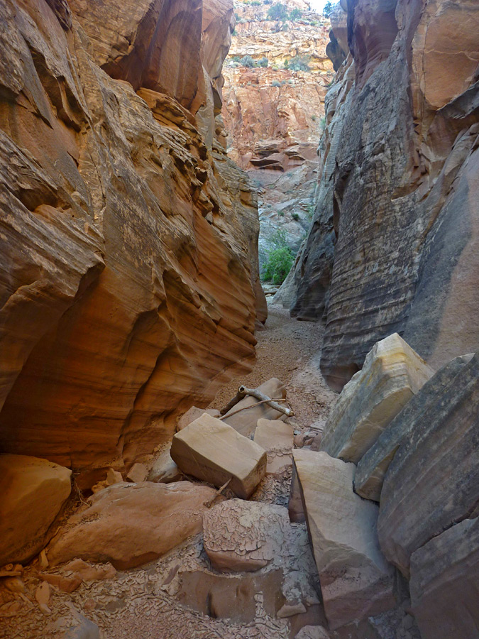 Fallen boulders