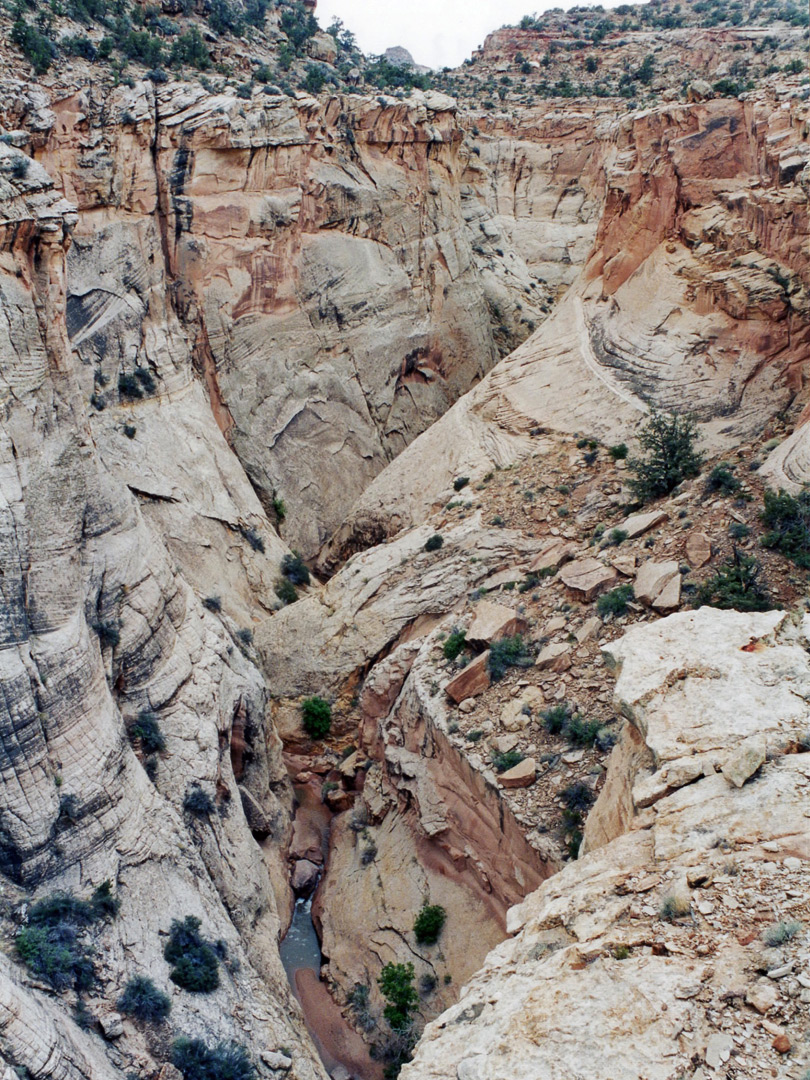 View upcanyon