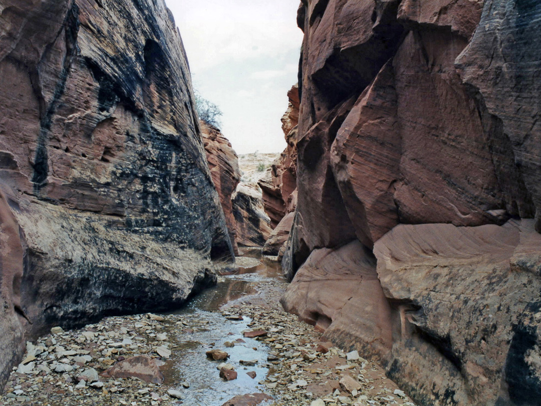 The narrowing canyon