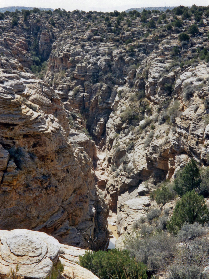 The upper canyon