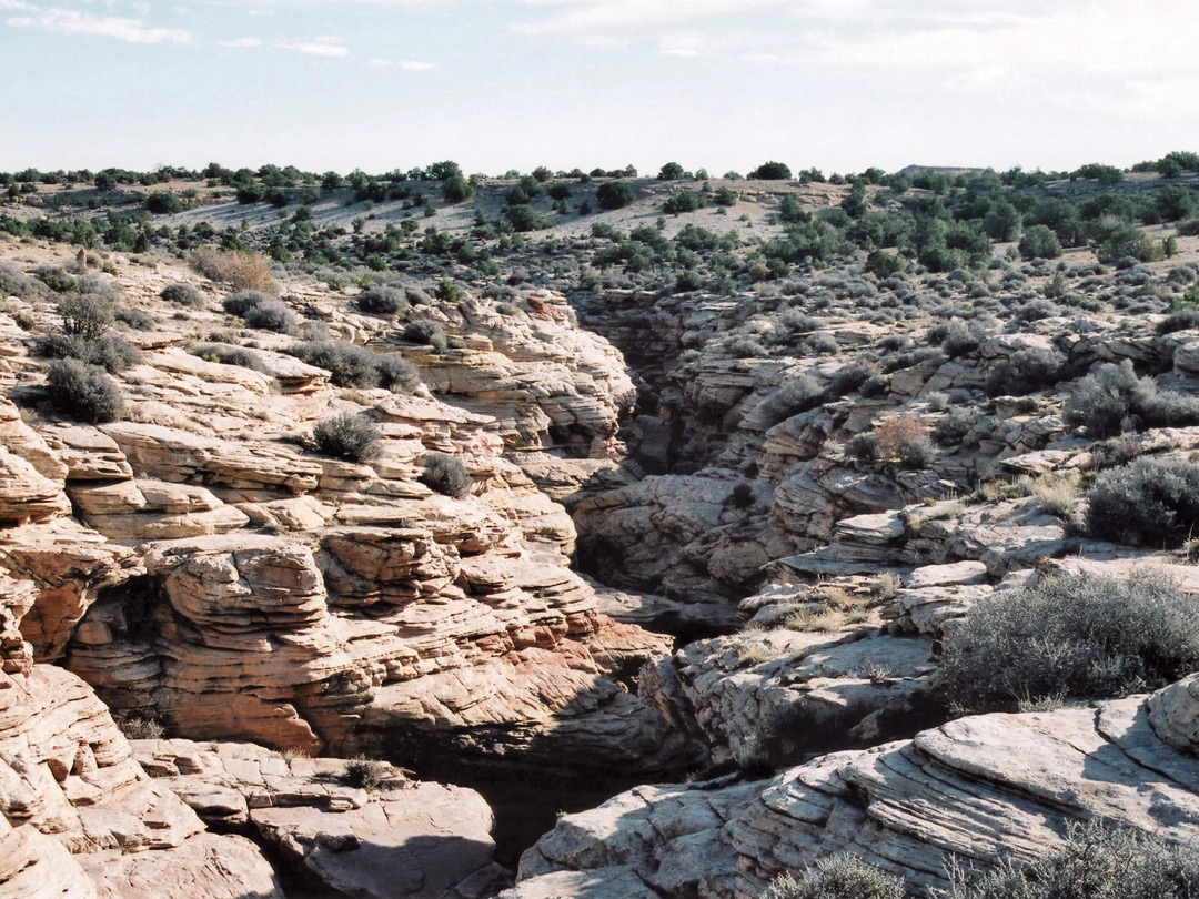 Wide view over the canyon