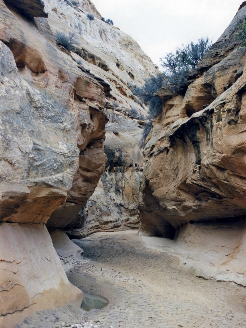 Sandy streambed