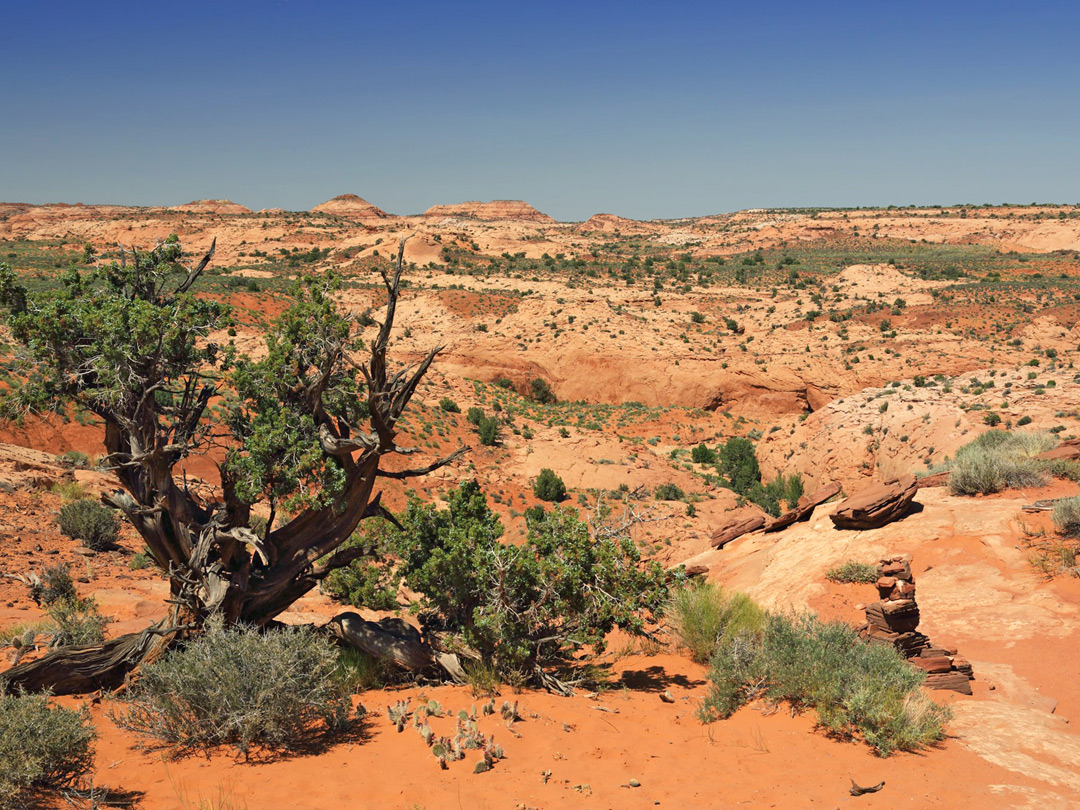 Approach to the canyon