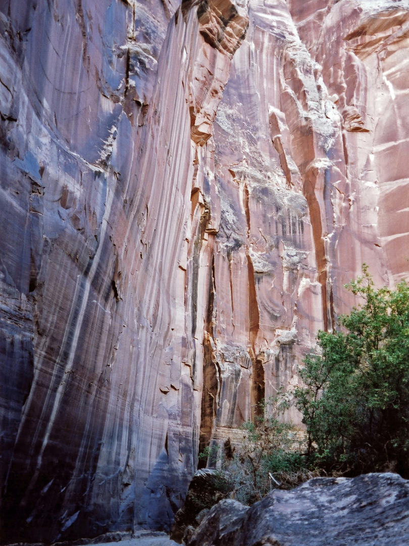 Coconino sandstone cliffs