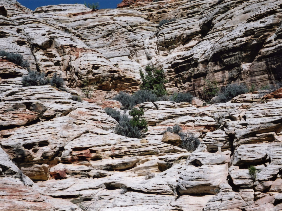 Thin bedded sandstone