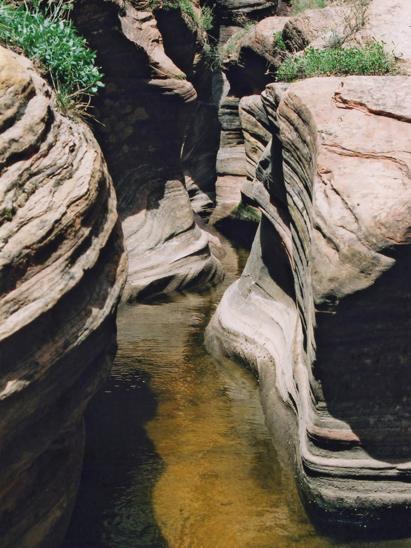 Pool below the narrows