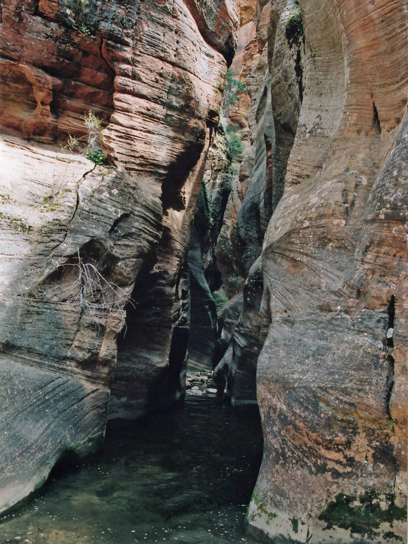 A muddy channel