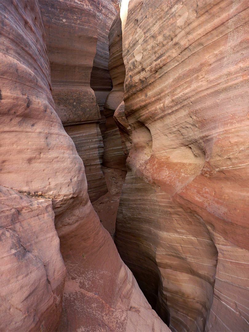 Stripy orange sandstone