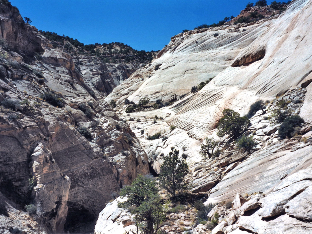 High above the first narrows