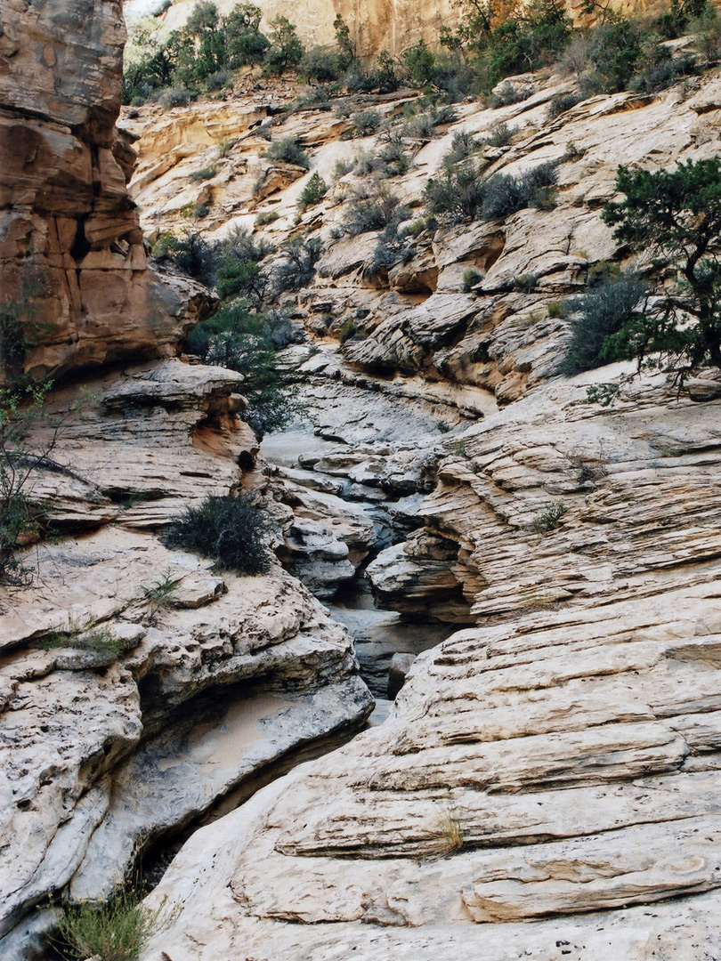 Jagged rocks