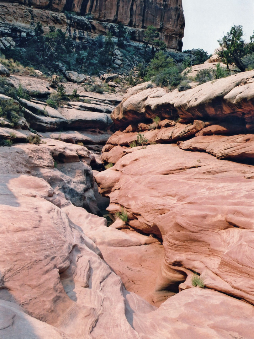 Bend in the canyon