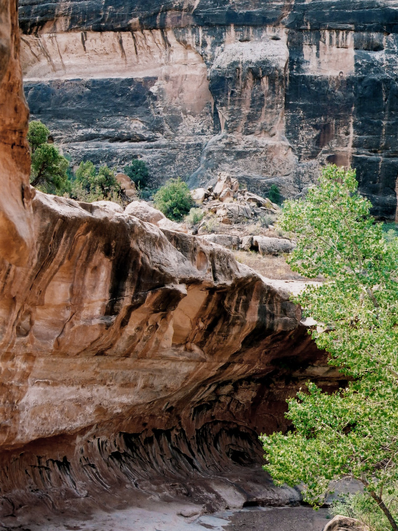 Cliffs with desert varnish