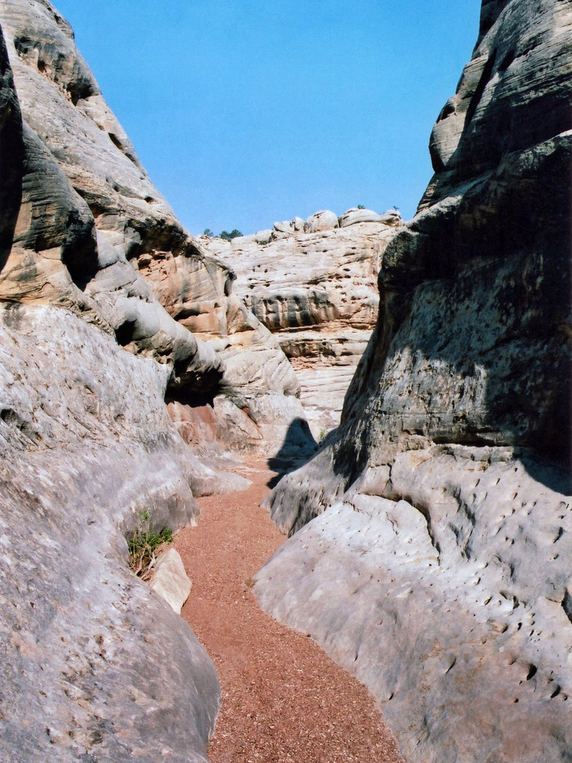 Reddish streambed