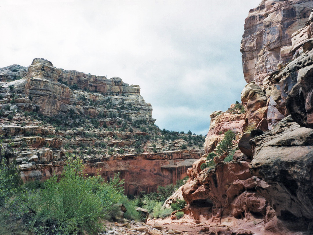 Above the narrows